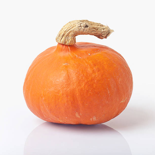one pumpkin on a white background stock photo