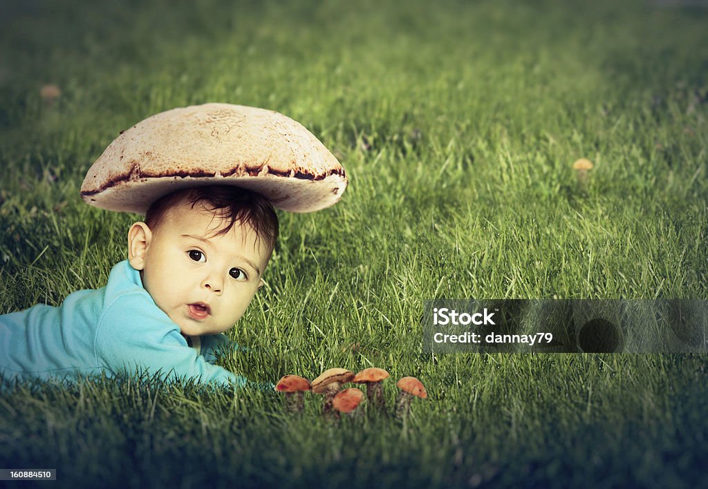 Champignon babe - Photo de 2-5 mois libre de droits