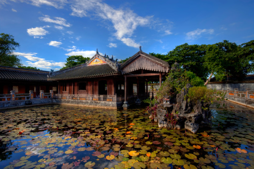 A tranquil pond in China's Wudang Mountains mirrors the architectural beauty of the building, with graceful koi carp inhabiting it.