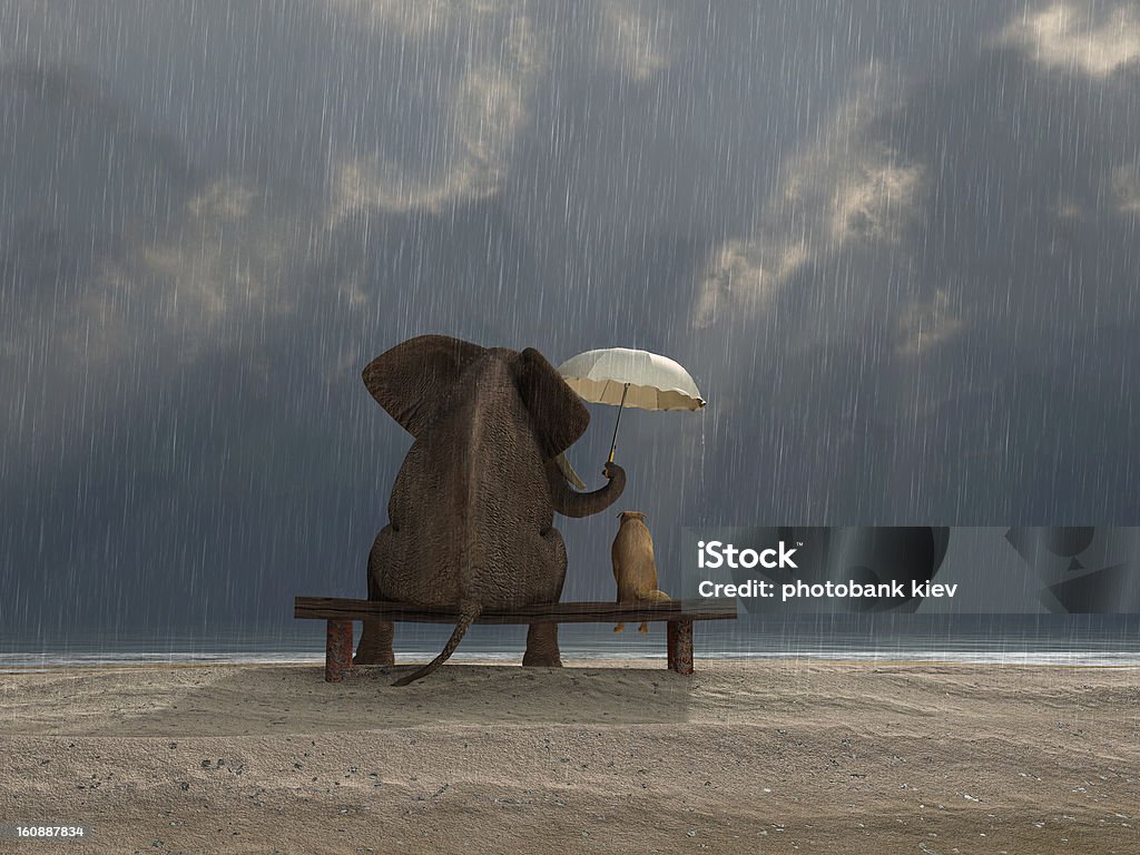 Elefant und Hund Sitzen Sie unter dem Regen - Lizenzfrei Fürsorglichkeit Stock-Foto