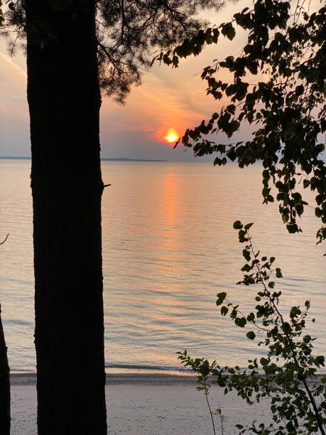 istock Sunset peeking between trees on Grand Traverse bay 1608882675