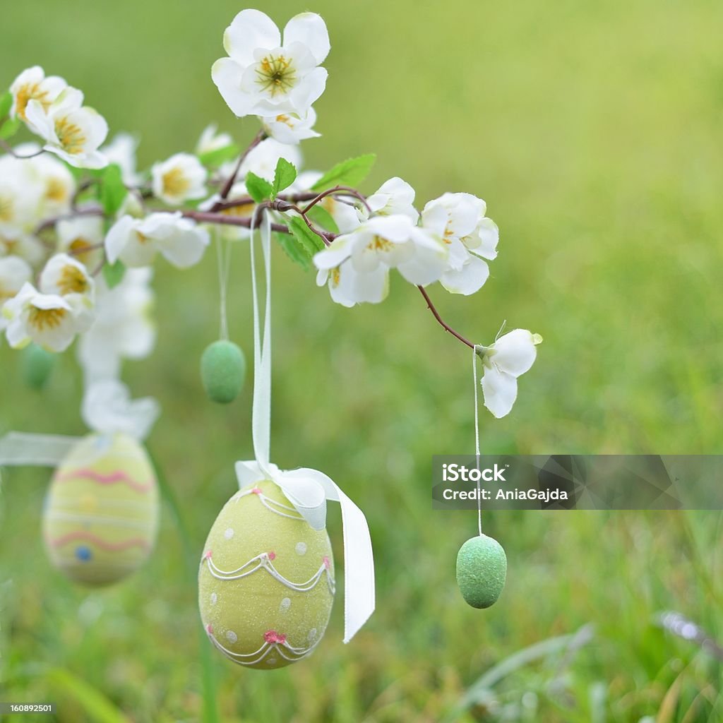 Zielony Wielkanoc jaja w kwiecie branch - Zbiór zdjęć royalty-free (Barwne tło)