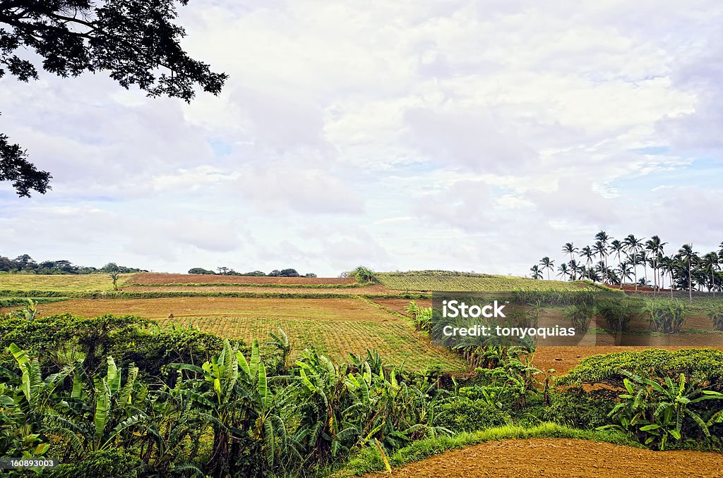 Asiatica Mountain Farm - Foto stock royalty-free di Agricoltura