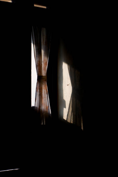 istock The morning sunlight coming in from a window. 1608953160