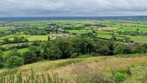 istock High angle view of Landscape of green fields and meadows 1608959912