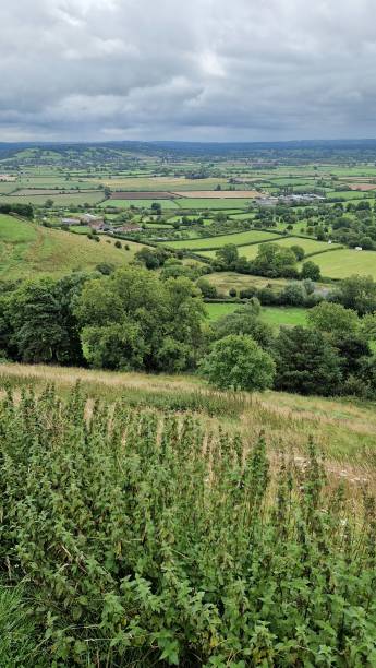 istock High angle view of Landscape of green fields and meadows 1608960435