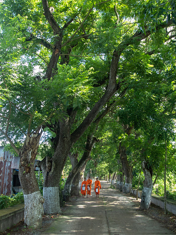 Monks walk among the trees at Hang Cong Pagoda (Krang Kroch) in Tri Ton, An Giang
