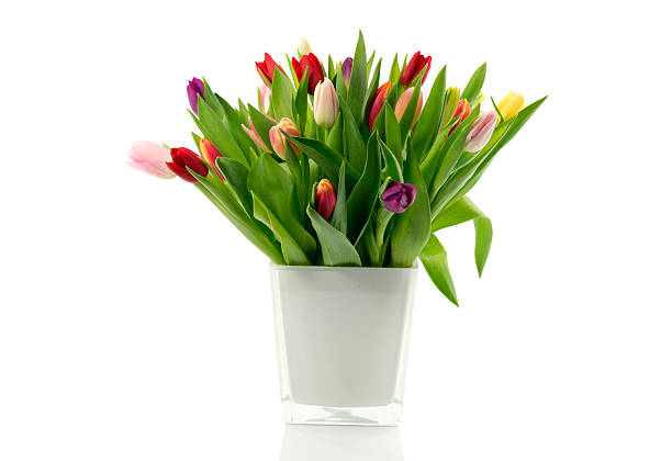 istock bouquet of tulips in white vase 160898452