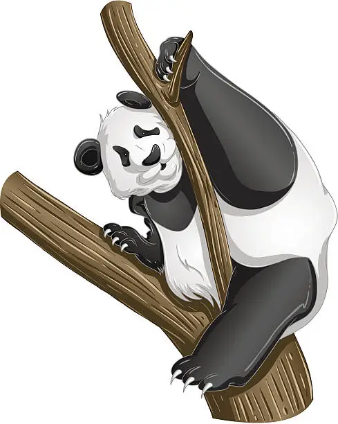 Vector illustration of Panda Bear On Tree