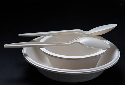 Paper dish and bowl with the disposable spoons