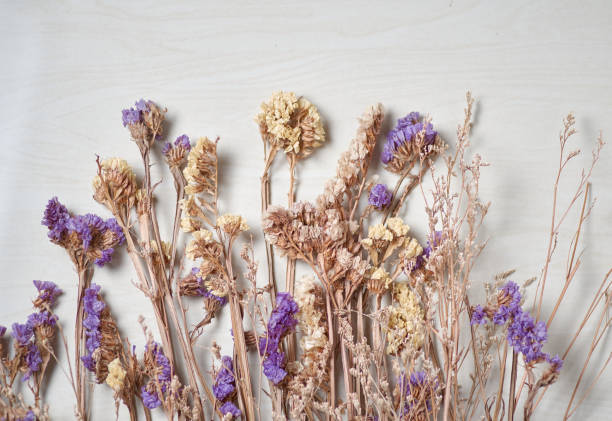 Dry flowers on the marble floor