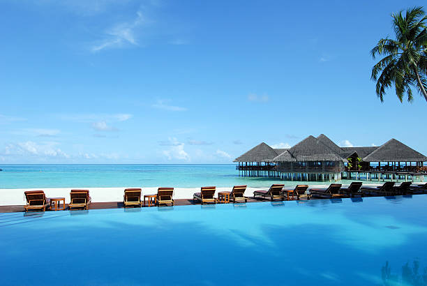 café et piscine sur une plage tropicale - maldives photos et images de collection