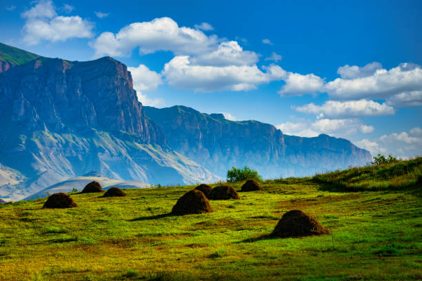 Caucasus Mountains, early morning in summer stock photo