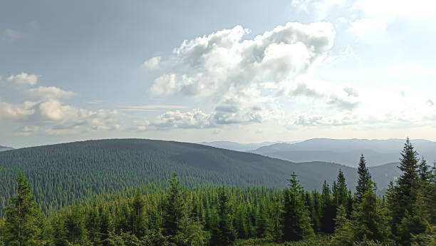 istock Let's go up the mountain. Landscape with clouds, pine trees and green grass. Journey through forests 1609100061