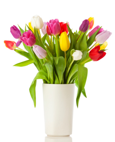 Ramo de tulipanes en un florero aislado photo