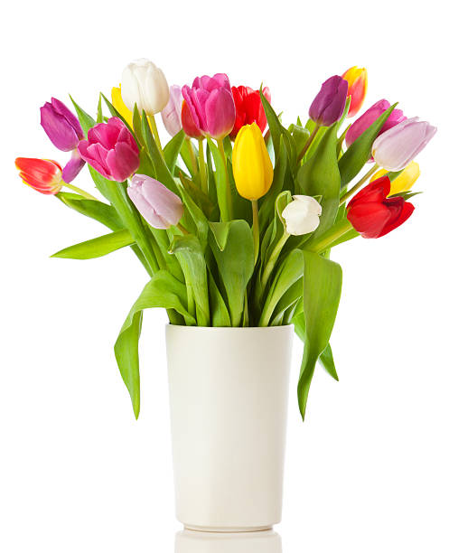Tulip bouquet in a vase isolated Multicolored tulips in a vase, isolated on white background bouquet stock pictures, royalty-free photos & images