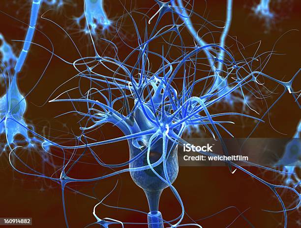 Neuron - エンタメ総合のストックフォトや画像を多数ご用意 - エンタメ総合, シナプス, ヒトの内臓