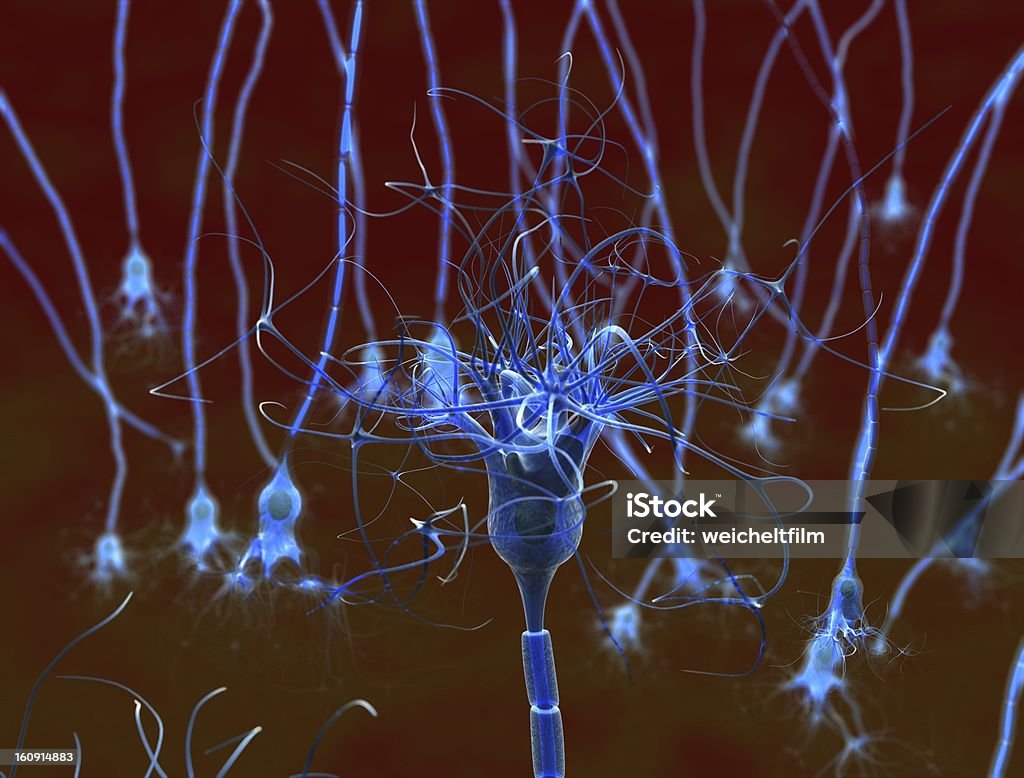 - Neuron - Lizenzfrei Besorgt Stock-Foto
