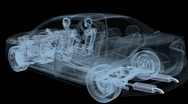 Two Woman skeletons in a car stock photo