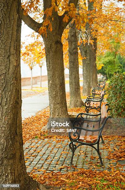 Vicolo In Autunno - Fotografie stock e altre immagini di Ambientazione esterna - Ambientazione esterna, Arancione, Autunno