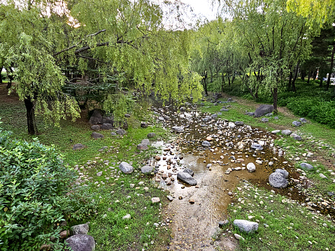 stream in the park