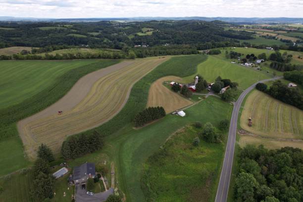 istock Preserved Farmland - Sunny days are for making hay 1609191079