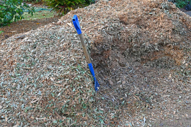 istock Pile of woodchips 1609191659