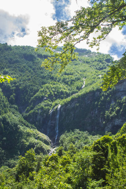 istock polycar waterfall, flowing from a high cliff among green trees 1609216330