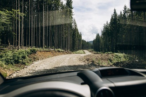 From the vantage point of the driver's seat, a car navigates a winding dirt road that meanders through a picturesque forest nestled within the embrace of majestic mountains. The steering wheel rests comfortably in the driver's hands as they skillfully guide the vehicle along the rugged path.