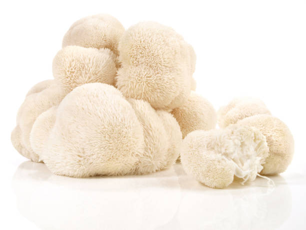 istock Fresh Hericium Mushroom - Healthy Nutrition Isolated 1609225303
