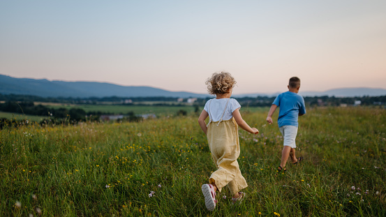 Rear view of adorable little siblings running and playing in the middle of summer meadow. Young boy and girl rush home at the evening, watching the sunset. Kids spending summer with grandparents in the countryside.