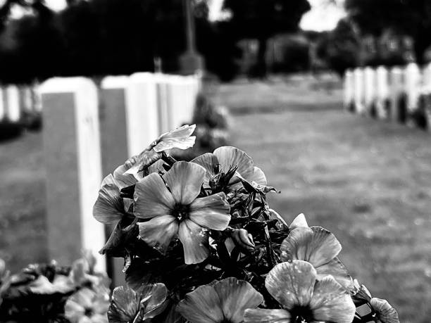 istock Flowers in a cemetery at Newcastle Upon Tyne 1609239801