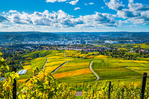 Germany, Stuttgart industrial skyline city vineyard panorama view arena autumn season above roofs houses buildings in warm sunset light