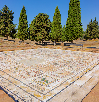 Italica, Spain - July 28, 2023. The mosaic of the birds, which gives name to the House of the Birds, is one of the most representative mosaic of the Roman city of Italica. Located in Santiponce, Seville, Andalusia, Spain.