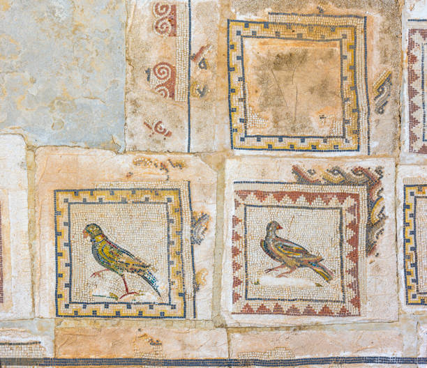 The Roman city of Italica. Snatiponce, Andalusia, Spain. Italica, Spain - July 28, 2023. Mosaic detail on the floor of the House of the Birds, one of the mansions destined exclusively for the notables of the Roman city of Italica. Located in Santiponce, Seville, Andalusia, Spain. italica spain stock pictures, royalty-free photos & images