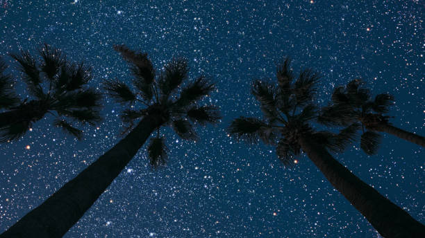 istock night sky in the forest with stars and moon 1609270869