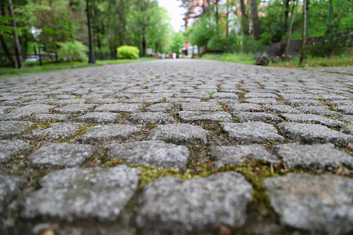 Closeup of an old stoneblock road cobbled with rectangular granite blocks with moss between rocks. Surface level perspective photo with selective focus