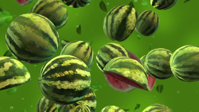 Watermelons Falling - Slow Motion