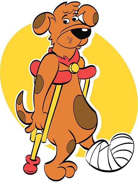 Dog on Crutches vector art illustration