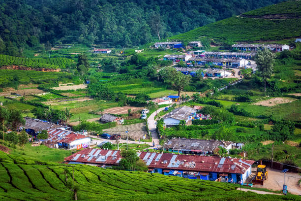 istock Tea plantations in Munnar, Kerala, India 1609295060