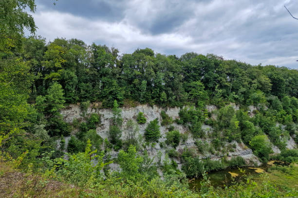 Abandoned limestone quarry, breeding site of Eagle owl (Bubo bubo); Winterswijk, Netherlands