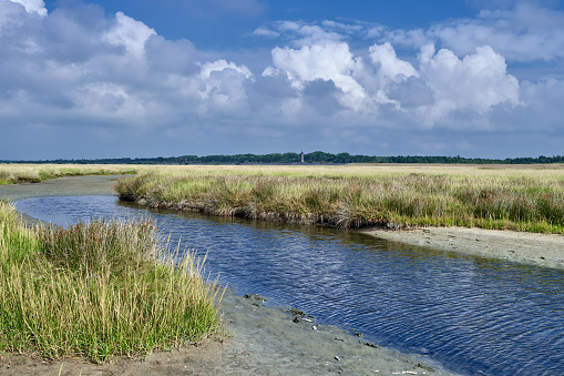 Salt Marsh in Sankt Peter-Ording,North Sea,North Frisia,Germany