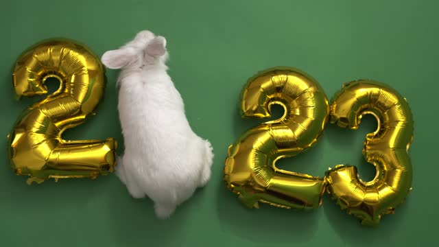 flat lay inflatable golden balloons in the form of numbers 2023 on green background. Year of the rabbit. White rabbit instead of zero. Happy New Year. greeting card