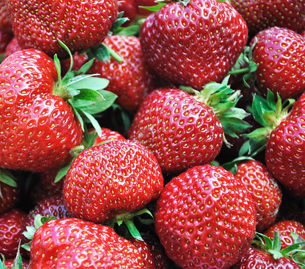 strawberries close up stock photo