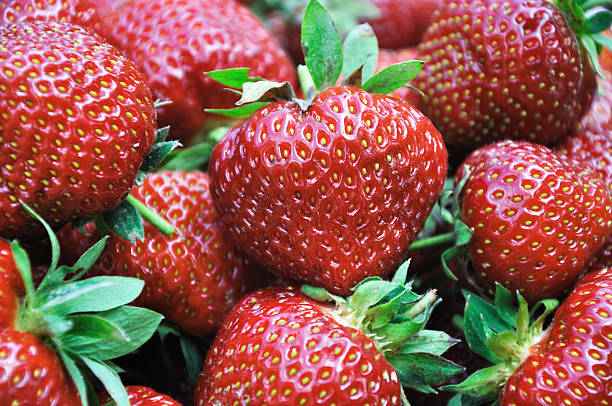 strawberries close up stock photo