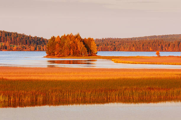 Lapland landscape in autumn stock photo