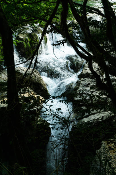 istock Echoes of Wilderness: Canyon Waterfall and Picturesque Vistas 1609360547
