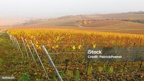 Vineyard Herbst Farben Stockfoto und mehr Bilder von Anhöhe - Anhöhe, Rheinhessen, Rot