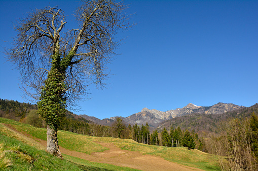 The early spring alpine landscape around the village of Raveo in Carnia, Udine Province, Friuli-Venezia Giulia, north east Italy