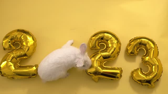 flat lay inflatable golden balloons in the form of numbers 2023 on yellow background. Year of the rabbit. White rabbit instead of zero. Happy New Year. greeting card